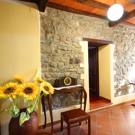 Casalte *